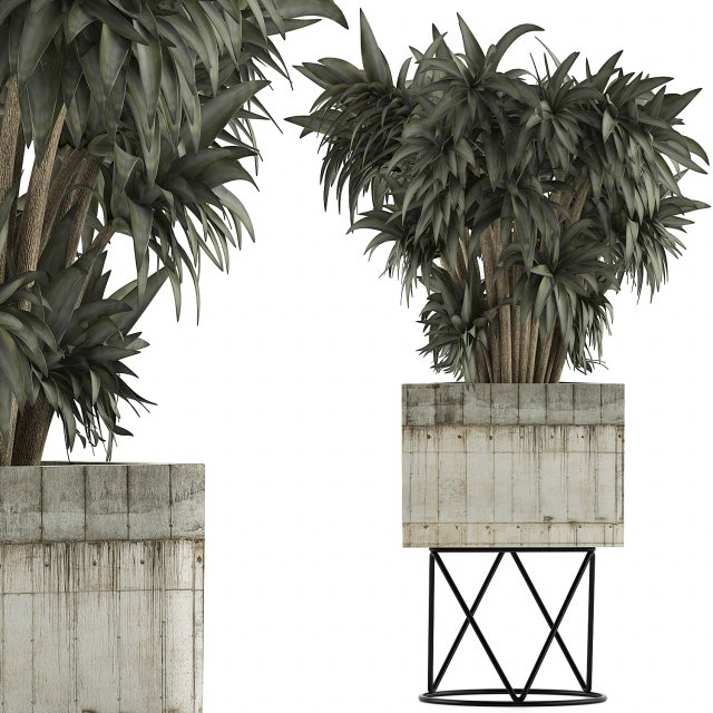 plants collection 80 3D Modell .c4d .max .obj .3ds .fbx .stl .blend 