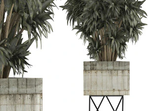 collezione di piante 80 Modello 3D