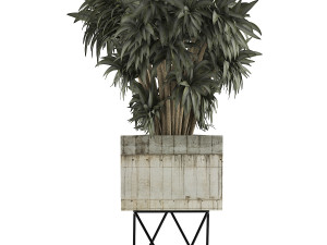 plants collection 80 3D Modell