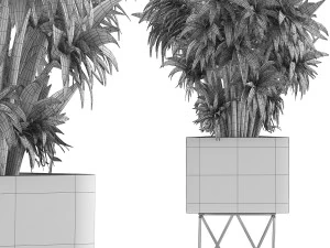 plants collection 80 3D Model