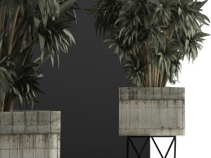 plants collection 80 3D Modell
