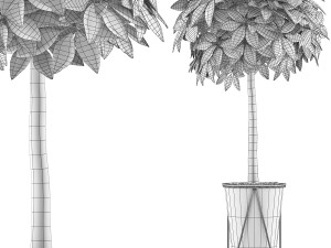 plants collection 81 3Dモデル
