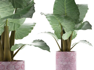 collezione di piante 82 Modello 3D