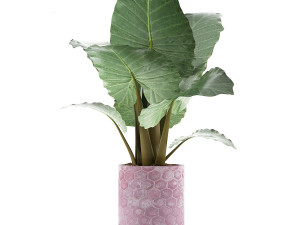 plants collection 82 3D Model