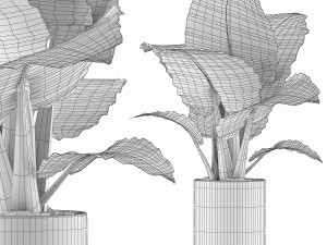 plants collection 82 3D Model