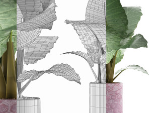 plants collection 82 3D Model