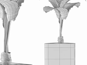 식물 수집 83 3D 모델