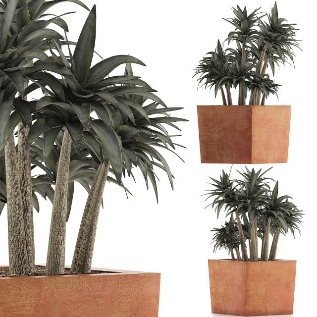 plants collection 84 3D Model .c4d .max .obj .3ds .fbx .stl .blend 