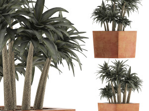 plants collection 84 Modèle 3D