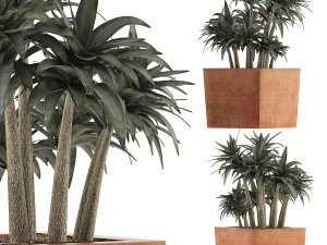 collezione di piante 84 Modello 3D