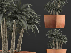 plants collection 84 3D Model