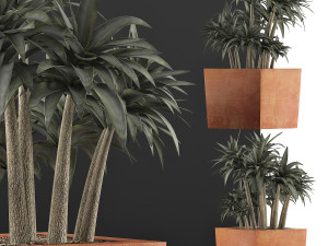 plants collection 84 3D Model