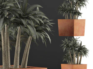 plants collection 84 3D Model