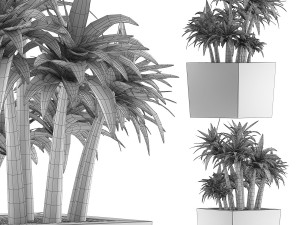 plants collection 84 3D Model
