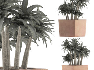plants collection 84 3D Model