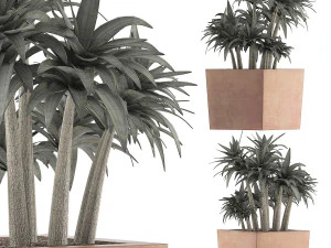 plants collection 84 3D Model
