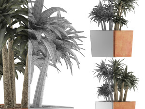 plants collection 84 3D Model