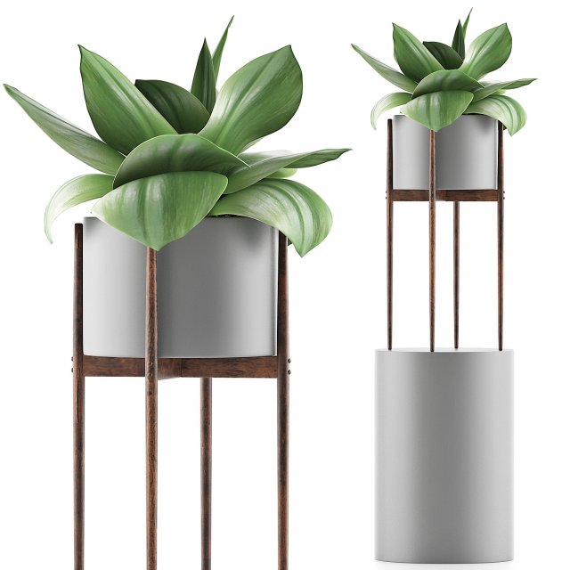 plants collection 85 3Dモデル .c4d .max .obj .3ds .fbx .stl .blend