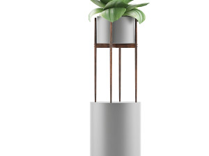 plants collection 85 3Dモデル