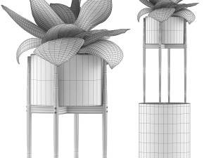 plants collection 85 3Dモデル