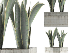 plants collection 86 3D मॉडल