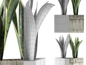 plants collection 86 3D Model