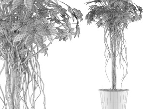 plants collection 87 Modèle 3D