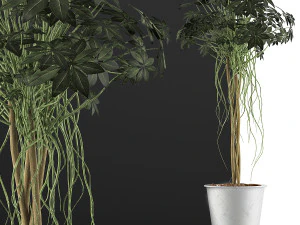 plants collection 87 3D Model