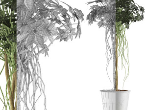plants collection 87 Modèle 3D