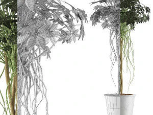 plants collection 87 3D Model