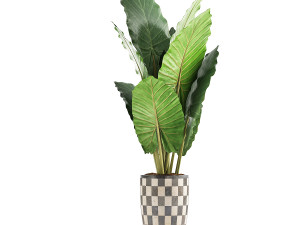 plants collection 88 Modèle 3D