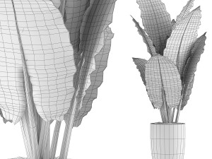 plants collection 88 Modèle 3D