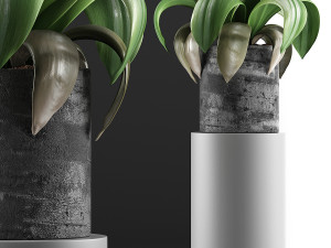 plants collection 89 3D Model