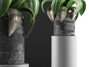 plants collection 89 3D Model