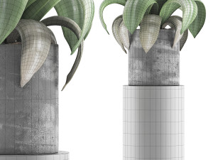 plants collection 89 3D Model