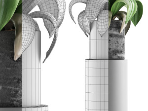 plants collection 89 3D Model