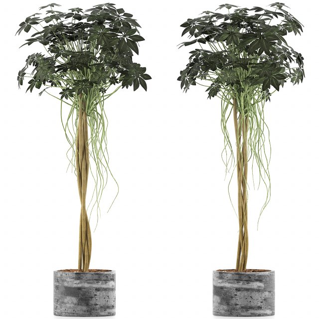 plants collection 90 Modelo 3D .c4d .max .obj .3ds .fbx .stl .blend 