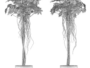 plants collection 90 3D Model