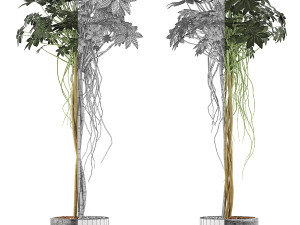 plants collection 90 Modelo 3D
