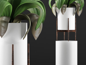 plants collection 91 3D मॉडल