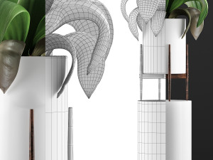 plants collection 91 3D Модель