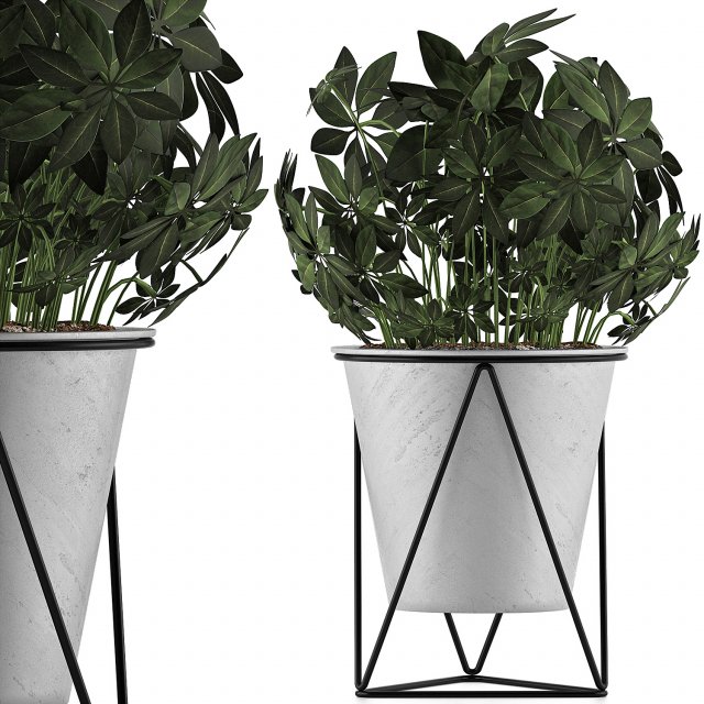plants collection 92 Modèle 3D .c4d .max .obj .3ds .fbx .stl .blend 