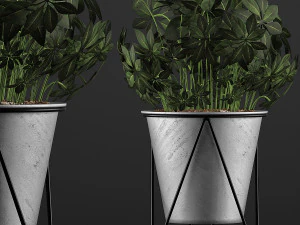 plants collection 92 3D Model