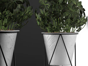 plants collection 92 3D Model