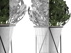 plants collection 92 Modèle 3D
