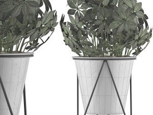 plants collection 92 Modèle 3D