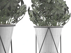 plants collection 92 3D Model