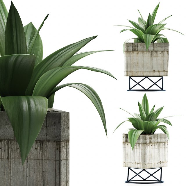 plants collection 93 Model 3D .c4d .max .obj .3ds .fbx .stl .blend 