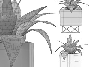 plants collection 93 Model 3D