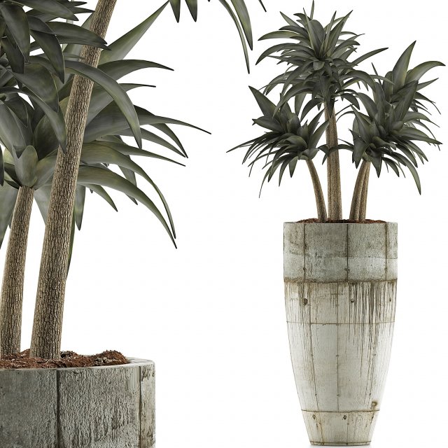 plants collection 94 3D Model .c4d .max .obj .3ds .fbx .stl .blend 